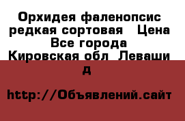 Орхидея фаленопсис редкая сортовая › Цена ­ 800 - Все города  »    . Кировская обл.,Леваши д.